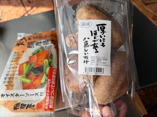 雨だ🌧キャンプに行こう🏕 やはずの森倶楽部 ファミリーキャンプ オートサイト ぐうたら夫婦さんのキャンプブログ CAMPiii（キャンピー） -キャンプ専用SNS キャンプのすべてがここに集まる-