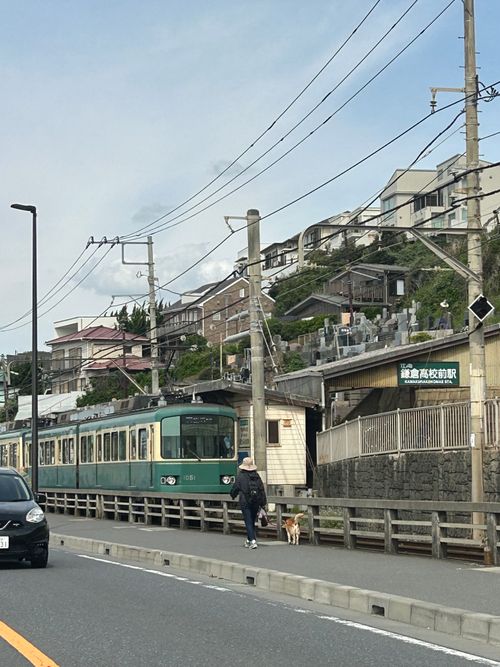 久しぶりのソロキャンプ🏕️ 道志の森キャンプ場 ソロキャンプ フリーサイト Genさんのキャンプブログ CAMPiii（キャンピー） -キャンプ専用SNS キャンプのすべてがここに集まる-