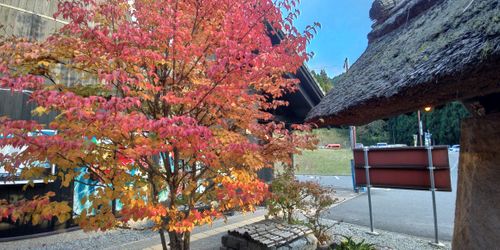 TAWAキャンプ場 そに木霊リゾート～垰tawa～ ソロキャンプ 区画サイト まさやんさんのキャンプブログ CAMPiii（キャンピー） -キャンプ専用SNS キャンプのすべてがここに集まる-