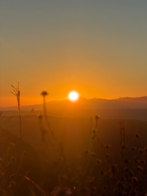 九州伊勢えびキャンプ🦞̥@阿蘇観光 ぐうたら夫婦さんのキャンプブログ CAMPiii（キャンピー） -キャンプ専用SNS キャンプのすべてがここに集まる-