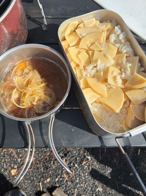 鹿いた！サウナの日、WBC満喫！ PICA富士西湖 ソロキャンプ オートサイト アクセルさんのキャンプブログ CAMPiii（キャンピー） -キャンプ専用SNS キャンプのすべてがここに集まる-