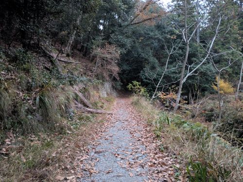 イチゴとイナゴとイチゴイチエ。 大阪府 ソロキャンプ オートサイト ぞのさんさんのキャンプブログ CAMPiii（キャンピー） -キャンプ専用SNS キャンプのすべてがここに集まる-