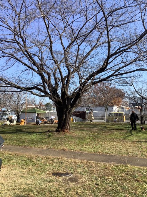 Vol.108 25/NO.27　いつもの場所にて‼️ 坂戸市 ソロキャンプ フリーサイト 🔥焚き火🔥さんのキャンプブログ CAMPiii（キャンピー） -キャンプ専用SNS キャンプのすべてがここに集まる-