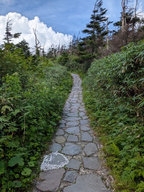 2016年 お盆 酸ヶ湯キャンプ場 ソロキャンプ 区画サイト IZUIZUさんのキャンプブログ CAMPiii（キャンピー） -キャンプ専用SNS キャンプのすべてがここに集まる-
