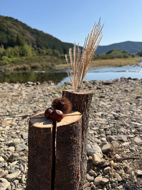 今回も良き🏕️🔥 フリーサイト tatecampさんのキャンプブログ CAMPiii（キャンピー） -キャンプ専用SNS キャンプのすべてがここに集まる-