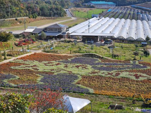 CAMPiii（キャンピー） 三代目とっしぃさんのキャンプブログ 雲海キャンプ➃は雨☔ 花の駅せら オートキャンプ場