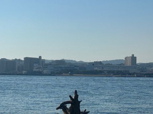 東京湾に残された唯一の自然島にてチェアリング 猿島 ソロキャンプ フリーサイト Genさんのキャンプブログ CAMPiii（キャンピー） -キャンプ専用SNS キャンプのすべてがここに集まる-