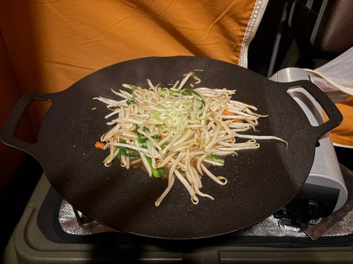 2025最後の旅する古本屋〜紫微輝く森の片隅で〜 紫星の森 ソロキャンプ フリーサイト ぱぱちょさんのキャンプブログ CAMPiii（キャンピー） -キャンプ専用SNS キャンプのすべてがここに集まる-