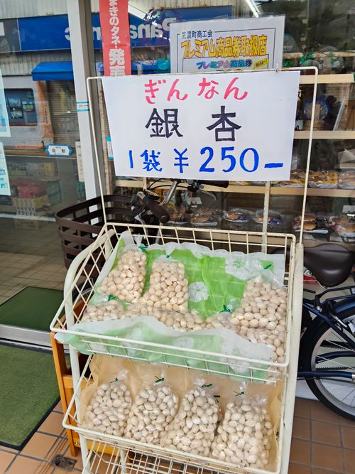 ちょっとハイク 笠置キャンプ場 ソロキャンプ フリーサイト おっとまんSさんのキャンプブログ CAMPiii（キャンピー） -キャンプ専用SNS キャンプのすべてがここに集まる-