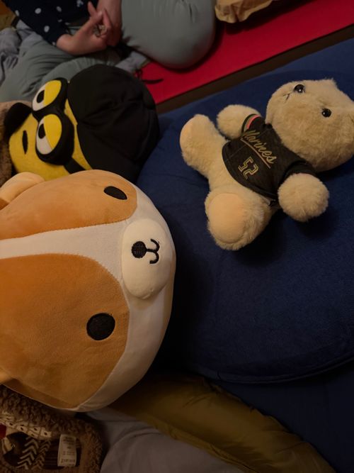 Ｎoritamaくんの初キャンプデビュー RECAMP 勝浦（旧しあわせの丘リゾート) ファミリーキャンプ 区画サイト Noritamaさんのキャンプブログ CAMPiii（キャンピー） -キャンプ専用SNS キャンプのすべてがここに集まる-