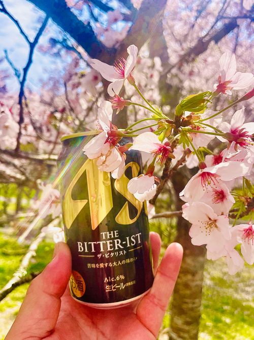 リベンジお花見🌸 & 新幕お試しおじうさキャン△ in 阿武川温泉公園 〜 CAMP NO.183 萩阿武川温泉公園（キャンプ可） ソロキャンプ ファミリーキャンプ フリーサイト おじキャン△さんのキャンプブログ CAMPiii（キャンピー） -キャンプ専用SNS キャンプのすべてがここに集まる-