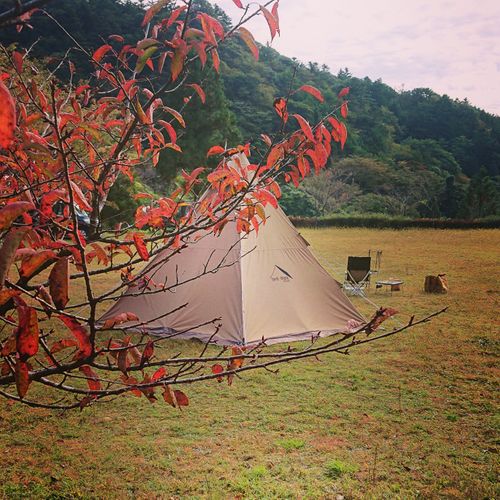 CAMPiii（キャンピー） survive.trive.styleさんのキャンプブログ 野遊び? 