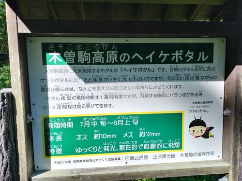 あの有名な無料キャンプ場の近くで、2025年4月から新体制でリスタートしたこの夏注目のお値打ちキャンプ場で避暑キャン2泊目ソロデュオ 木曽駒オートキャンプ場 ソロキャンプ グループキャンプ 区画サイト オートサイト たかたかぽんたさんのキャンプブログ CAMPiii(キャンピー) -キャンプ専用SNS キャンプのすべてがここに集まる-