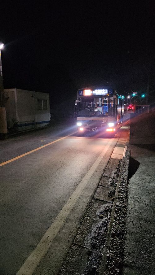 その後 日本 ソロキャンプ グループキャンプ 区画サイト フリーサイト オートサイト IZUIZUさんのキャンプブログ CAMPiii（キャンピー） -キャンプ専用SNS キャンプのすべてがここに集まる-