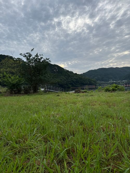 めっちゃ久しぶりキャンプ 桐山さざなみ広場 ソロキャンプ フリーサイト ROCKY04さんのキャンプブログ CAMPiii（キャンピー） -キャンプ専用SNS キャンプのすべてがここに集まる-