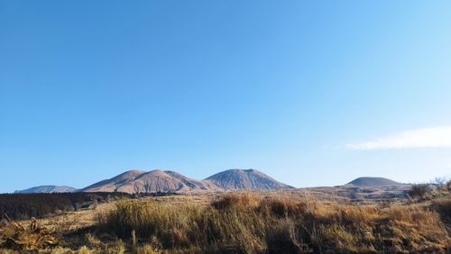 い、いかん💦投稿しなければ次のキャンプが来てしまう💦 乙姫浪漫時間 グループキャンプ フリーサイト オートサイト スローライフに憧れるさんのキャンプブログ CAMPiii（キャンピー） -キャンプ専用SNS キャンプのすべてがここに集まる-