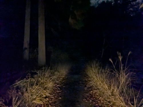 やはり自然には勝てないよね〜 大阪府 ソロキャンプ フリーサイト ぞのさんさんのキャンプブログ CAMPiii（キャンピー） -キャンプ専用SNS キャンプのすべてがここに集まる-