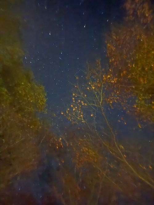 いい夫婦の日に2組でキャンプ 阿蘇レインボーバレー ファミリーキャンプ グループキャンプ 区画サイト オートサイト moreAiさんのキャンプブログ CAMPiii（キャンピー） -キャンプ専用SNS キャンプのすべてがここに集まる-