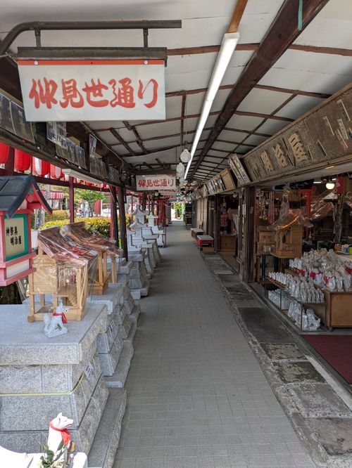 【茨城県笠間の超人気キャンプ場】にこにこキャンプ場 笠間市 ソロキャンプ 区画サイト MOTO△CAMPさんのキャンプブログ CAMPiii（キャンピー） -キャンプ専用SNS キャンプのすべてがここに集まる-