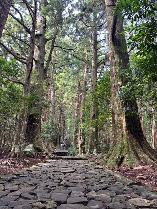 思い出の地 リゾート大島 ソロキャンプ フリーサイト Aoさんのキャンプブログ CAMPiii（キャンピー） -キャンプ専用SNS キャンプのすべてがここに集まる-