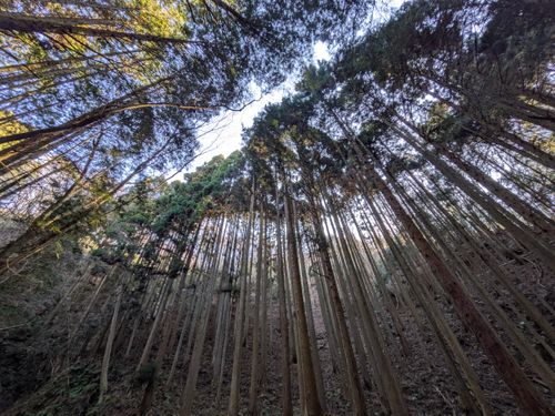 初幕。フォーエバー&hellip; 大阪府 ソロキャンプ フリーサイト ぞのさんさんのキャンプブログ CAMPiii（キャンピー） -キャンプ専用SNS キャンプのすべてがここに集まる-