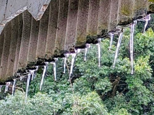 シンシンとした雪の後はニンニンと&hellip; やぶっちゃキャンプ場 ソロキャンプ グループキャンプ オートサイト ぞのさんさんのキャンプブログ CAMPiii（キャンピー） -キャンプ専用SNS キャンプのすべてがここに集まる-