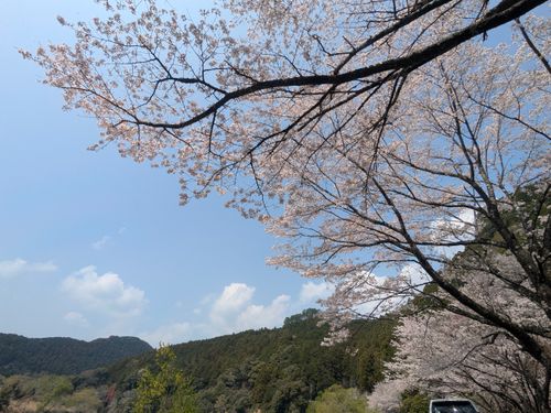 1年ぶりのふもとっぱら ふもとっぱらキャンプ場 ソロキャンプ グループキャンプ フリーサイト オートサイト ちあさんのキャンプブログ CAMPiii（キャンピー） -キャンプ専用SNS キャンプのすべてがここに集まる-