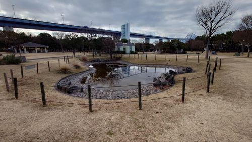 初の2泊キャンプ 若洲公園キャンプ場 ソロキャンプ 区画サイト メトロさんのキャンプブログ CAMPiii（キャンピー） -キャンプ専用SNS キャンプのすべてがここに集まる-