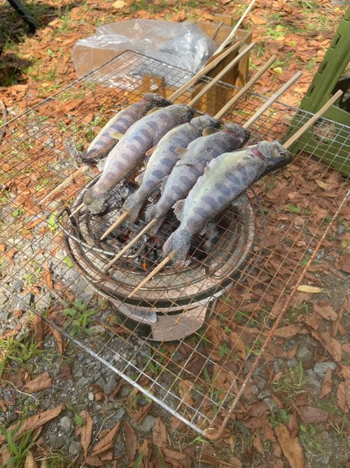 夏の思ひ出✨ぽろぽろ 徳島県 グループキャンプ フリーサイト camping roll♪さんのキャンプブログ CAMPiii(キャンピー) -キャンプ専用SNS キャンプのすべてがここに集まる-