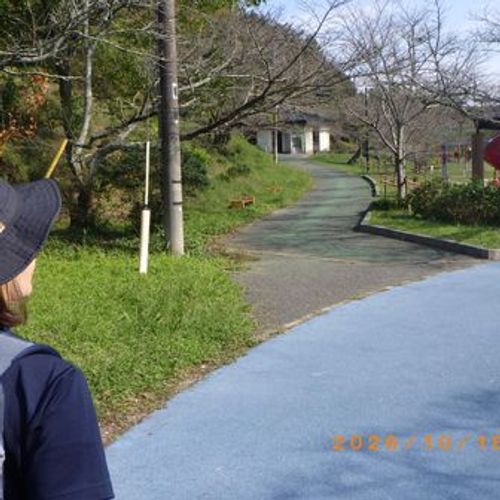 山登りで芋ご飯 甘木公園(丸山公園) ファミリーキャンプ キキオレさんのキャンプブログ CAMPiii（キャンピー） -キャンプ専用SNS キャンプのすべてがここに集まる-