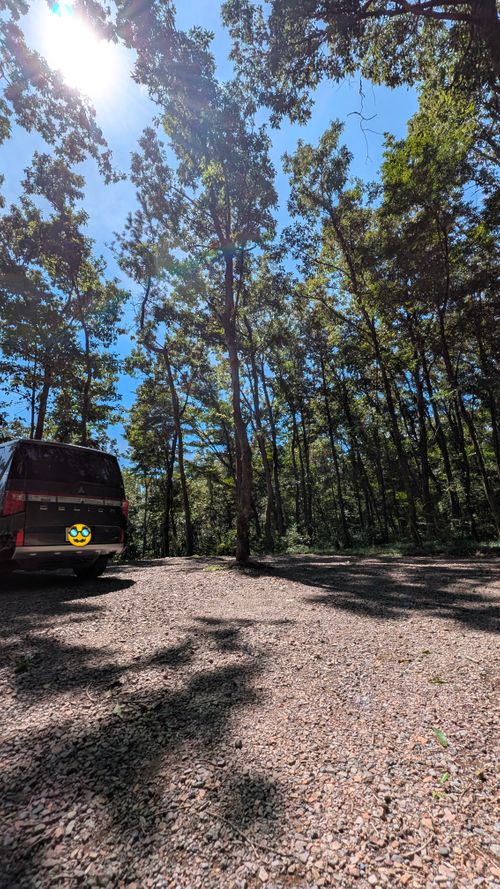 クワガタ探しにクヌギの森へ🌲 CAMP×WOODS ファミリーキャンプ 区画サイト オートサイト ヒゲキャンさんのキャンプブログ CAMPiii（キャンピー） -キャンプ専用SNS キャンプのすべてがここに集まる-
