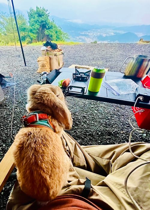 絶景を求めて…お初の佐賀県おじうさキャン△ in FUNAYAMA MOUNTAIN 〜 CAMP NO.156 FUNAYAMA MOUNTAIN ソロキャンプ ファミリーキャンプ 区画サイト おじキャン△さんのキャンプブログ CAMPiii(キャンピー) -キャンプ専用SNS キャンプのすべてがここに集まる-
