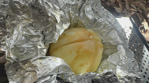 春の始まりキャンプ PICA富士西湖 ソロキャンプ グループキャンプ 区画サイト フリーサイト まっつんさんのキャンプブログ CAMPiii（キャンピー） -キャンプ専用SNS キャンプのすべてがここに集まる-