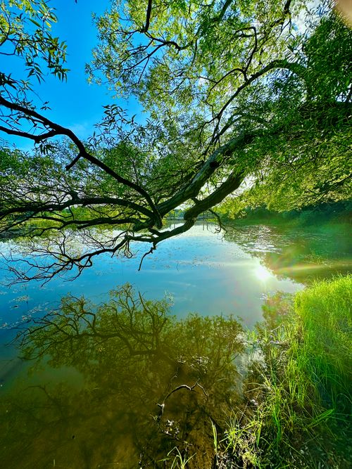 リフレクションと夕焼けと茜さす 芦野公園オートキャンプ場 ソロキャンプ フリーサイト sea-bさんのキャンプブログ CAMPiii（キャンピー） -キャンプ専用SNS キャンプのすべてがここに集まる-