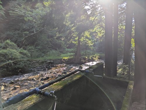 新幕試し張りソロ クアハウス山小屋 ソロキャンプ 区画サイト 週末スナフキンさんのキャンプブログ CAMPiii(キャンピー) -キャンプ専用SNS キャンプのすべてがここに集まる-