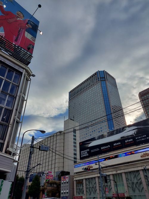 東京行って帰りは電車と徒歩でてくてく👣キャンプ⛺ さいたま桃月園キャンプ場 ソロキャンプ 区画サイト ひろ16さんのキャンプブログ CAMPiii（キャンピー） -キャンプ専用SNS キャンプのすべてがここに集まる-