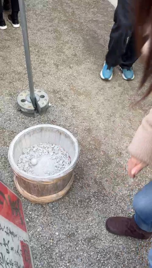 【番外編】𝗛𝗮𝗽𝗽𝘆 𝗡𝗲𝘄 𝗬𝗲𝗮𝗿♬︎*.:* キャンプグランド・ベアーベル Oniyomeさんのキャンプブログ CAMPiii（キャンピー） -キャンプ専用SNS キャンプのすべてがここに集まる-