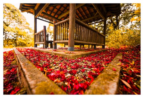 全国旅キャンプ第11弾は京都編 笠置キャンプ場 ソロキャンプ ファミリーキャンプ グループキャンプ フリーサイト ENJOY THE OUTDOORSさんのキャンプブログ CAMPiii（キャンピー） -キャンプ専用SNS キャンプのすべてがここに集まる-