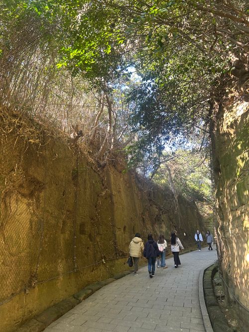 東京湾に残された唯一の自然島にてチェアリング 猿島 ソロキャンプ フリーサイト Genさんのキャンプブログ CAMPiii（キャンピー） -キャンプ専用SNS キャンプのすべてがここに集まる-