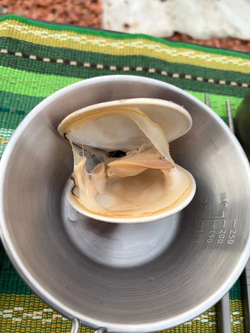 年越しキャンプ！⛺️ キャンプ マナビス 海サイト グループキャンプ 区画サイト オートサイト ぺちゃさんのキャンプブログ CAMPiii（キャンピー） -キャンプ専用SNS キャンプのすべてがここに集まる-