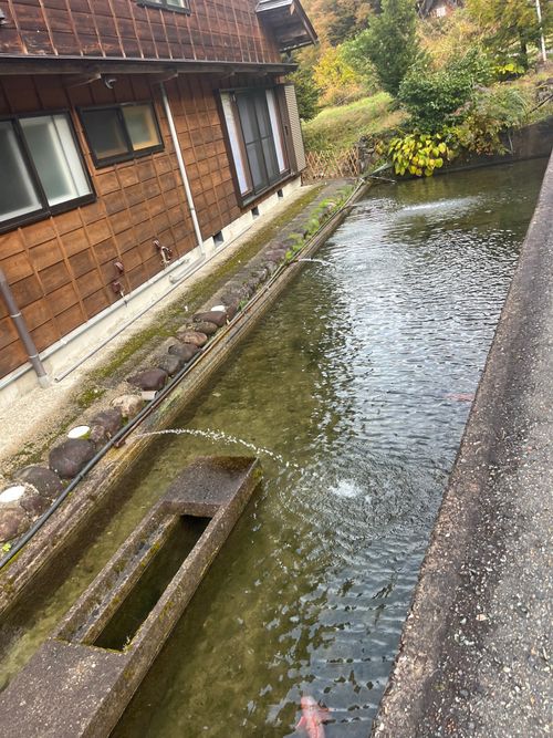 三連休とあらば、西を目指して…🚗💨 閑乗寺公園 キャンプ場 ソロキャンプ 区画サイト まっつんさんのキャンプブログ CAMPiii（キャンピー） -キャンプ専用SNS キャンプのすべてがここに集まる-