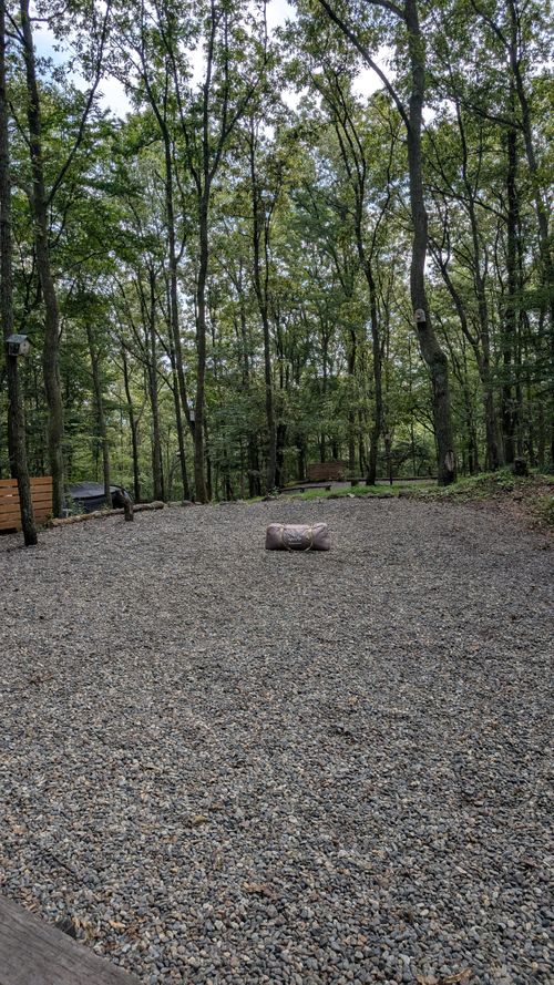 クワガタ捕獲大作戦リベンジキャンプ🏕️ CAMP&times;WOODS ファミリーキャンプ 区画サイト オートサイト ヒゲキャンさんのキャンプブログ CAMPiii（キャンピー） -キャンプ専用SNS キャンプのすべてがここに集まる-