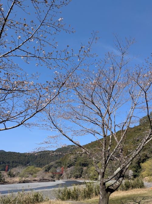 2026年6泊目 小川の里オートキャンプ場 ソロキャンプ グループキャンプ フリーサイト アニさんのキャンプブログ CAMPiii（キャンピー） -キャンプ専用SNS キャンプのすべてがここに集まる-