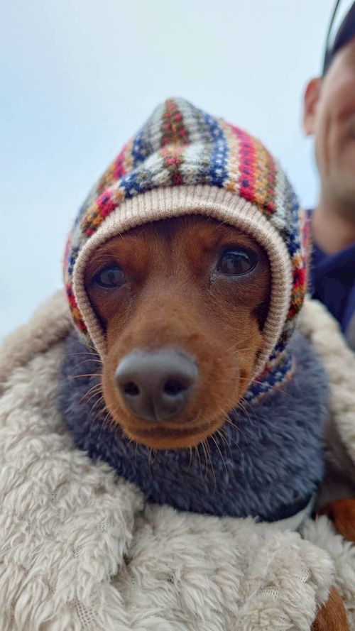 デイキャンもどき こもれび森のイバライド ファミリーキャンプ フリーサイト まーささんのキャンプブログ CAMPiii（キャンピー） -キャンプ専用SNS キャンプのすべてがここに集まる-