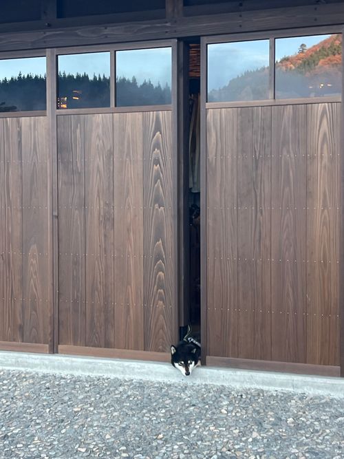 あれ⁈こないだ来たよーな… 閑乗寺公園 キャンプ場 グループキャンプ ソロキャンプ ファミリーキャンプ フリーサイト まっつんさんのキャンプブログ CAMPiii（キャンピー） -キャンプ専用SNS キャンプのすべてがここに集まる-