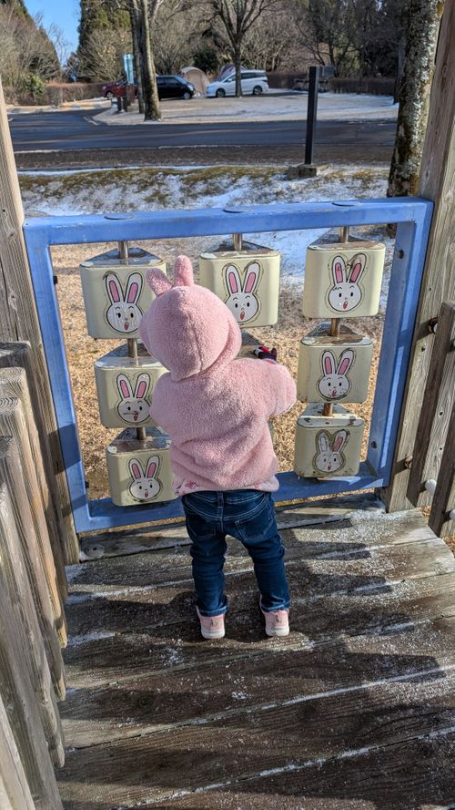 2026年キャンプ始め🎍爆風けん玉合宿🏕️ ひなもりオートキャンプ場 ファミリーキャンプ ヒゲキャンさんのキャンプブログ CAMPiii（キャンピー） -キャンプ専用SNS キャンプのすべてがここに集まる-