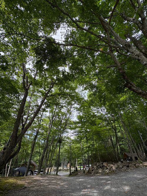 ～(&acute;&forall;｀～)ｽｽﾞｽｨｰ山伏オートキャンプ場～ 山伏オートキャンプ場 ソロキャンプ 区画サイト ぷりんさんのキャンプブログ CAMPiii（キャンピー） -キャンプ専用SNS キャンプのすべてがここに集まる-