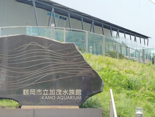 ようやく晴れました グリーンバレー神室キャンプ場 ソロキャンプ フリーサイト しずさんのキャンプブログ CAMPiii（キャンピー） -キャンプ専用SNS キャンプのすべてがここに集まる-
