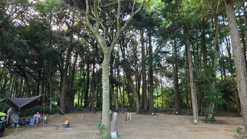 息子とソログル the country (キャンプ場) グループキャンプ 区画サイト ke-nさんのキャンプブログ CAMPiii（キャンピー） -キャンプ専用SNS キャンプのすべてがここに集まる-