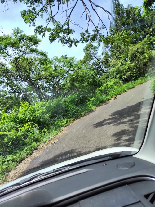 迷走から始まったキャンプは、またもや風と共にだった 南葉高原キャンプ場 ソロキャンプ 区画サイト オートサイト セツさんのキャンプブログ CAMPiii（キャンピー） -キャンプ専用SNS キャンプのすべてがここに集まる-